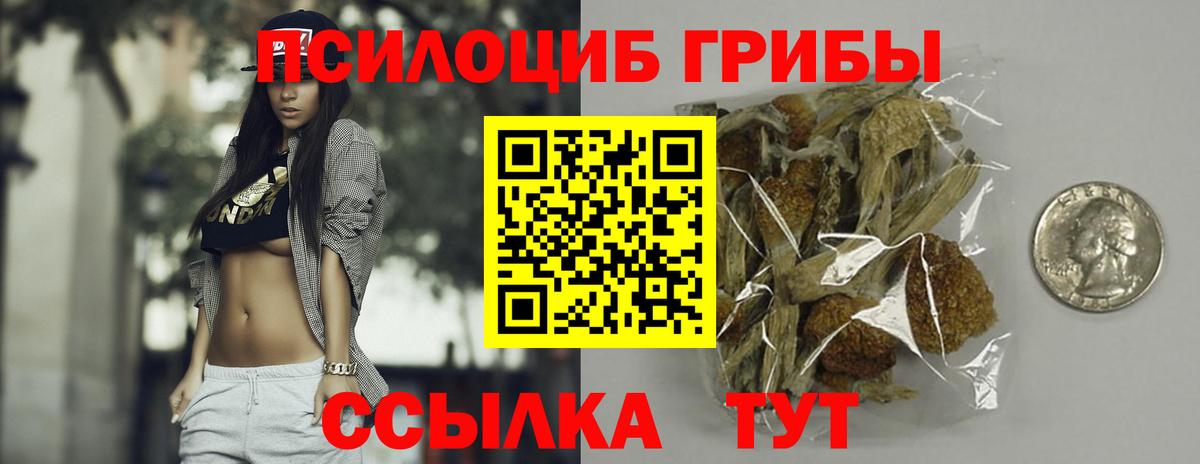 Псилоцибиновые грибы Psilocybe  Вход с VPN  Псилоцибиновые грибы Psilocybine cubensis  Губкин 